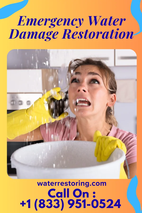 Emergency Water Damage Restoration in Morris, IL