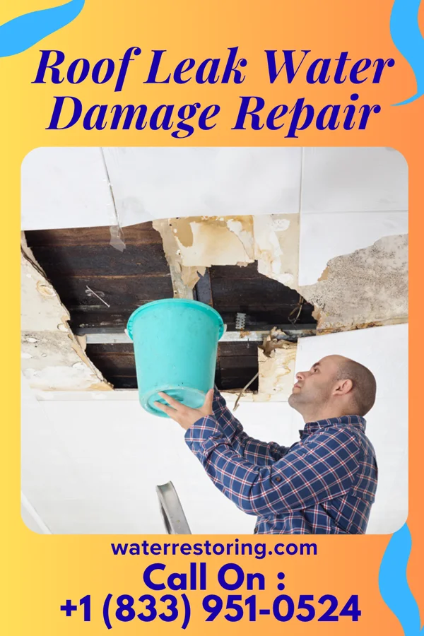 Roof Leak Water Damage Repair in Morris, IL